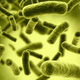 Imagen para el artículo titulado Cada persona emite una nube única de bacterias que puede usarse como huella dactilar